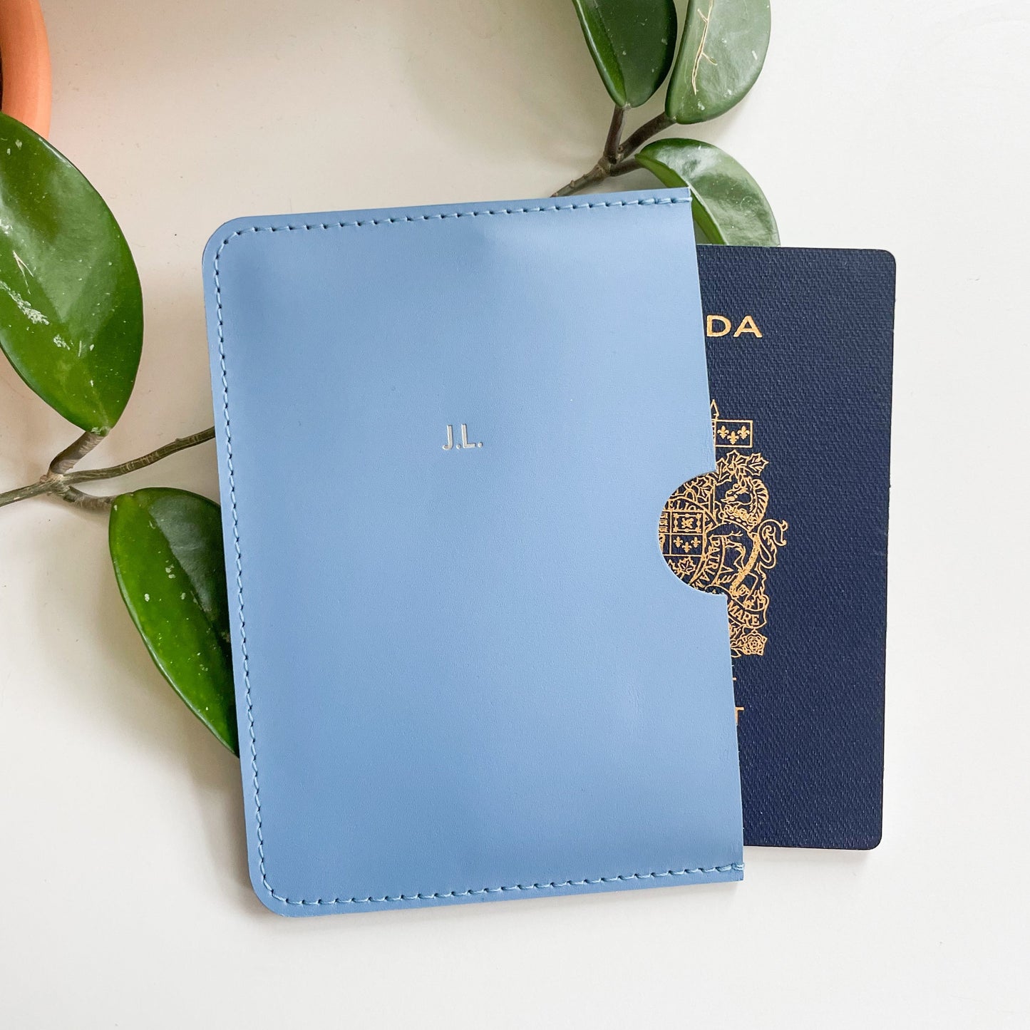 Passport Sleeve with Card Pocket | Sky Blue
